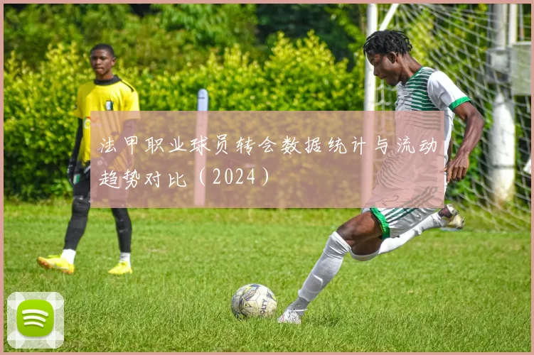 法甲职业球员转会数据统计与流动趋势对比（2024）