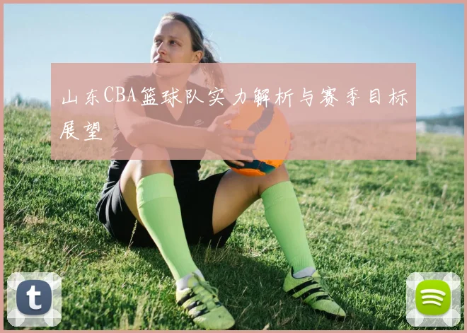 山东CBA篮球队实力解析与赛季目标展望